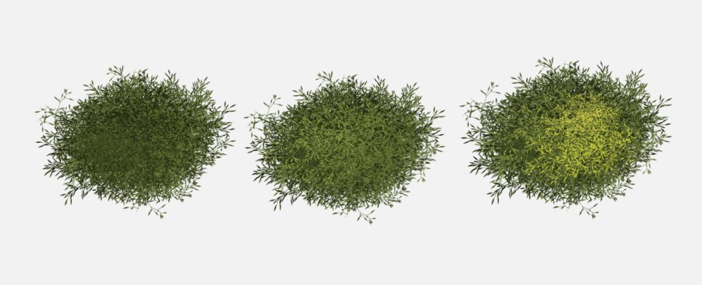 How to paint foliage in photoshop